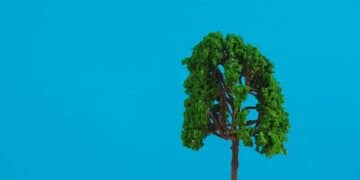 Tax-Efficient Investing: Minimize Capital Gains in Your Financial Plan - Cover Image